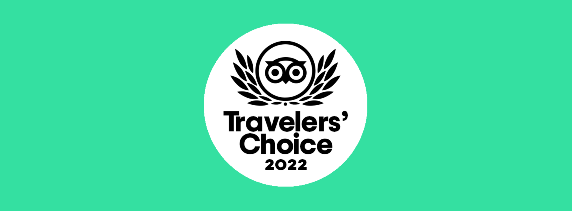 The travelers choice logo is on a green background.