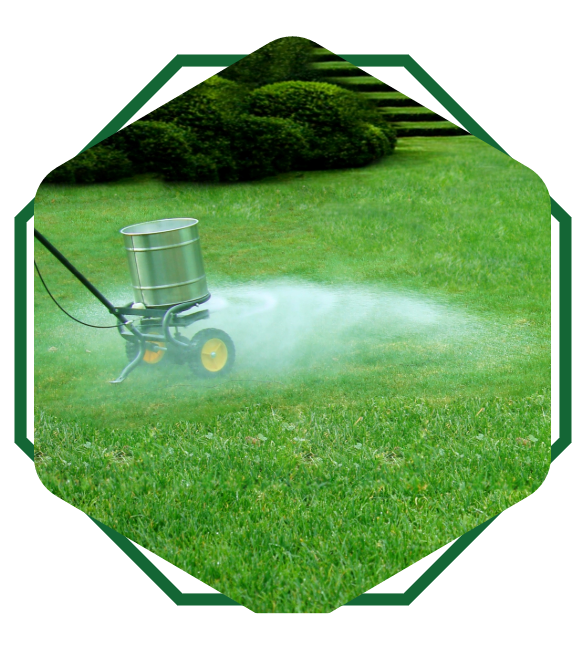 A person is spraying a lawn with a sprayer