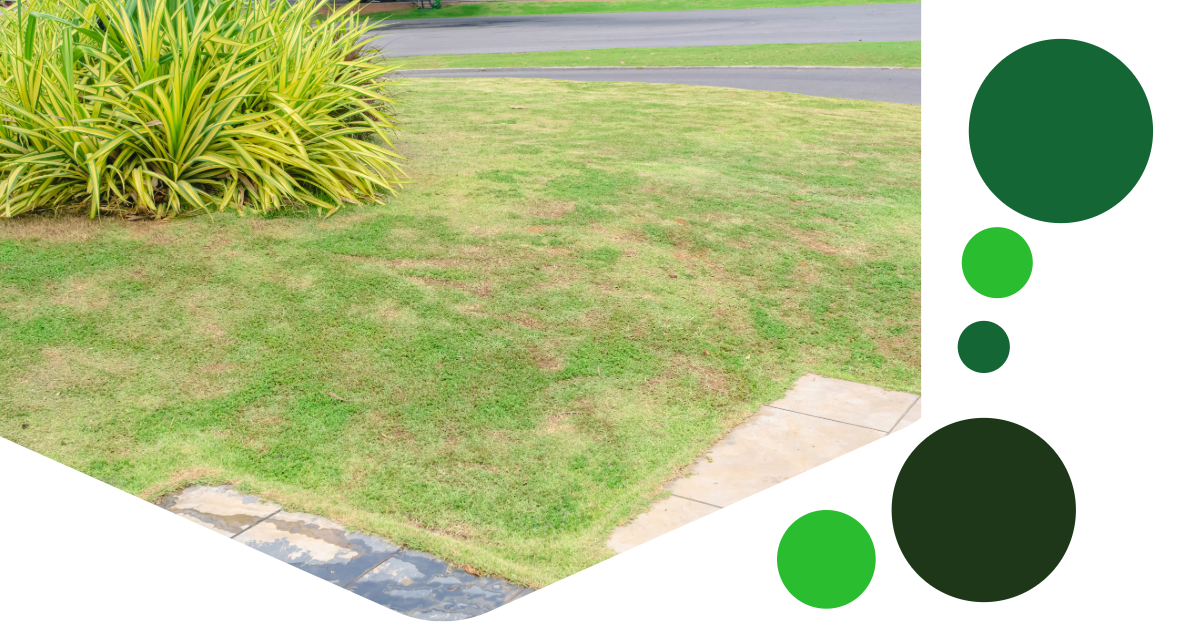 A picture of a lush green lawn with circles around it.