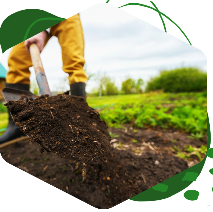 A person is digging with a shovel in a field.