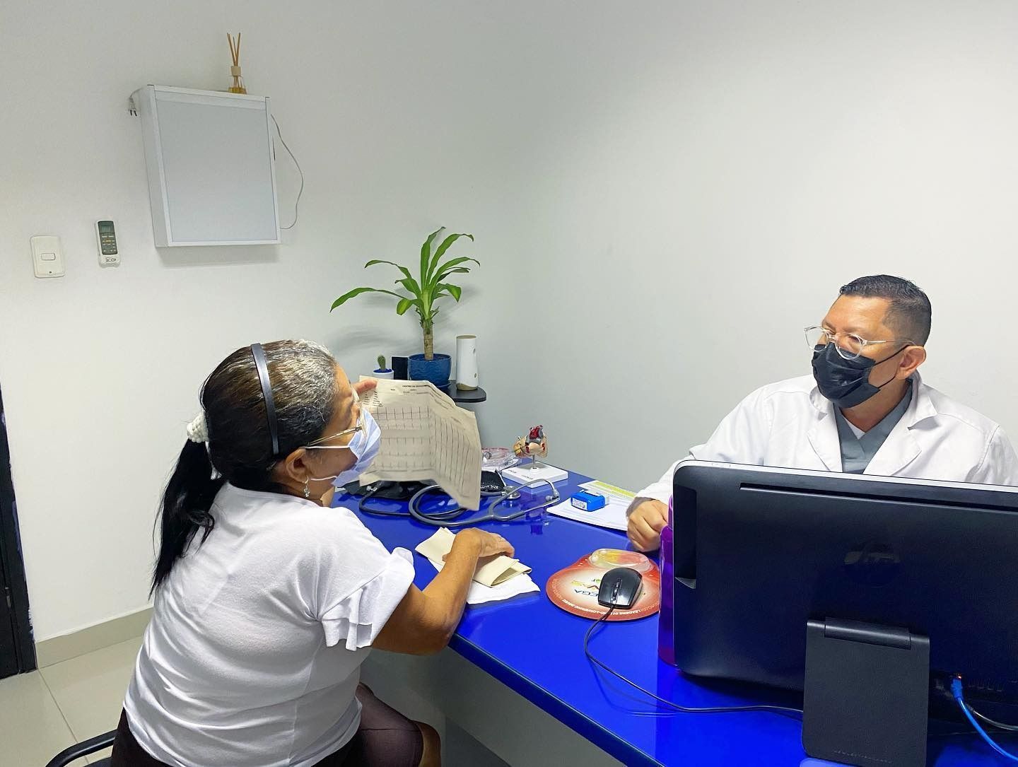 Dos personas se reúnen en un escritorio azul de oficina, con un monitor de computadora y una planta en maceta cerca.