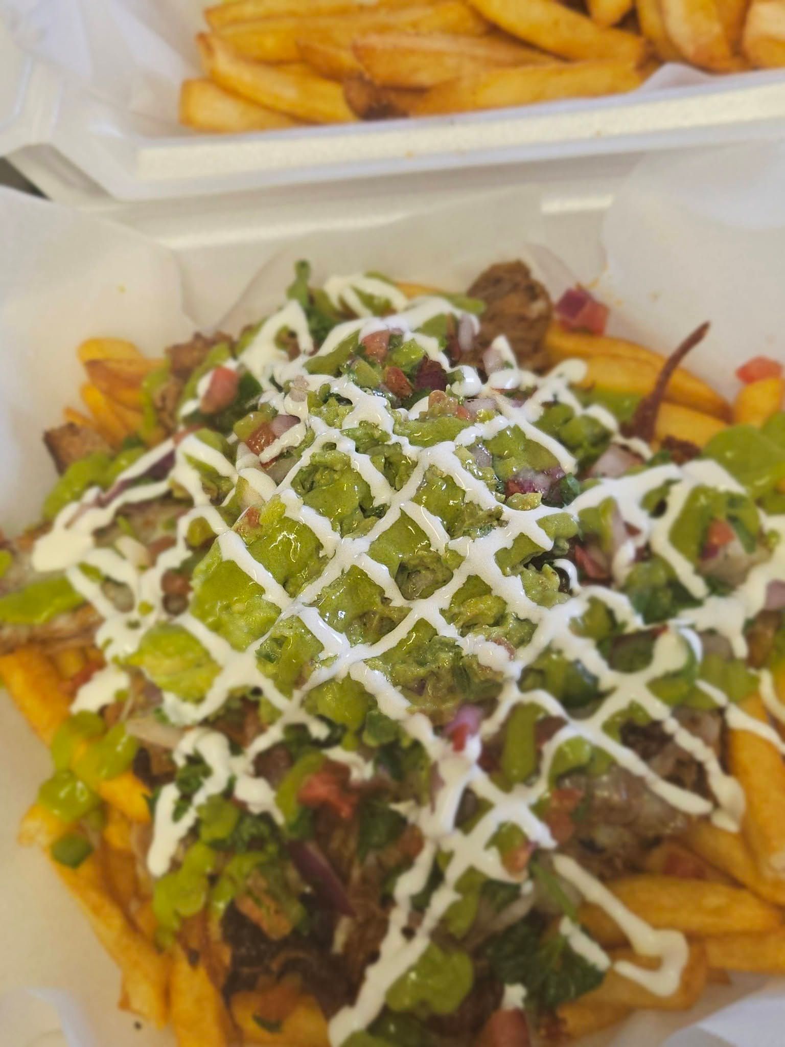 Tray of loaded fries topped with meat, green herbs, and white sauce, with a side of plain fries