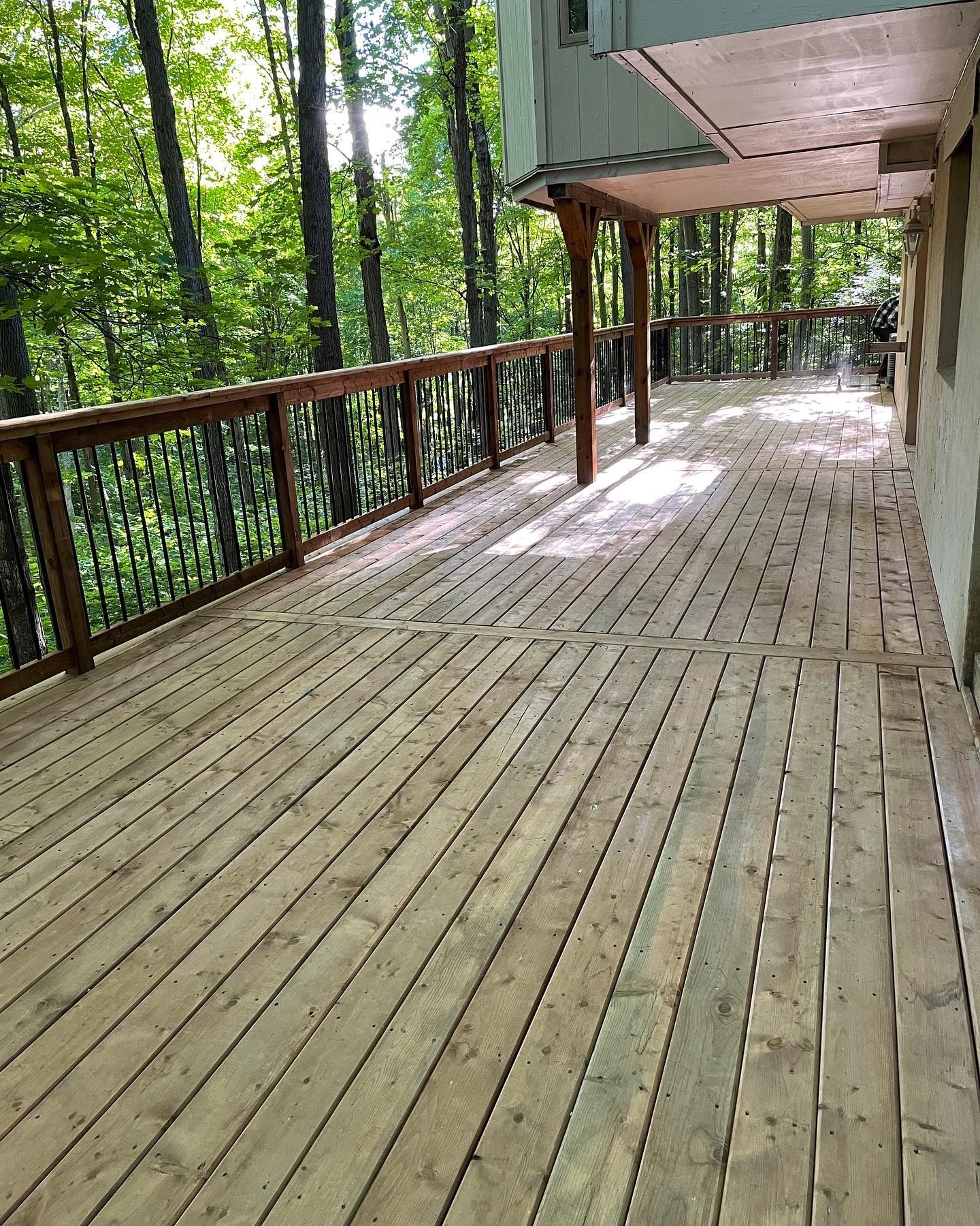 Wooden deck with railing overlooking a forest. Sunlight streams through trees.
