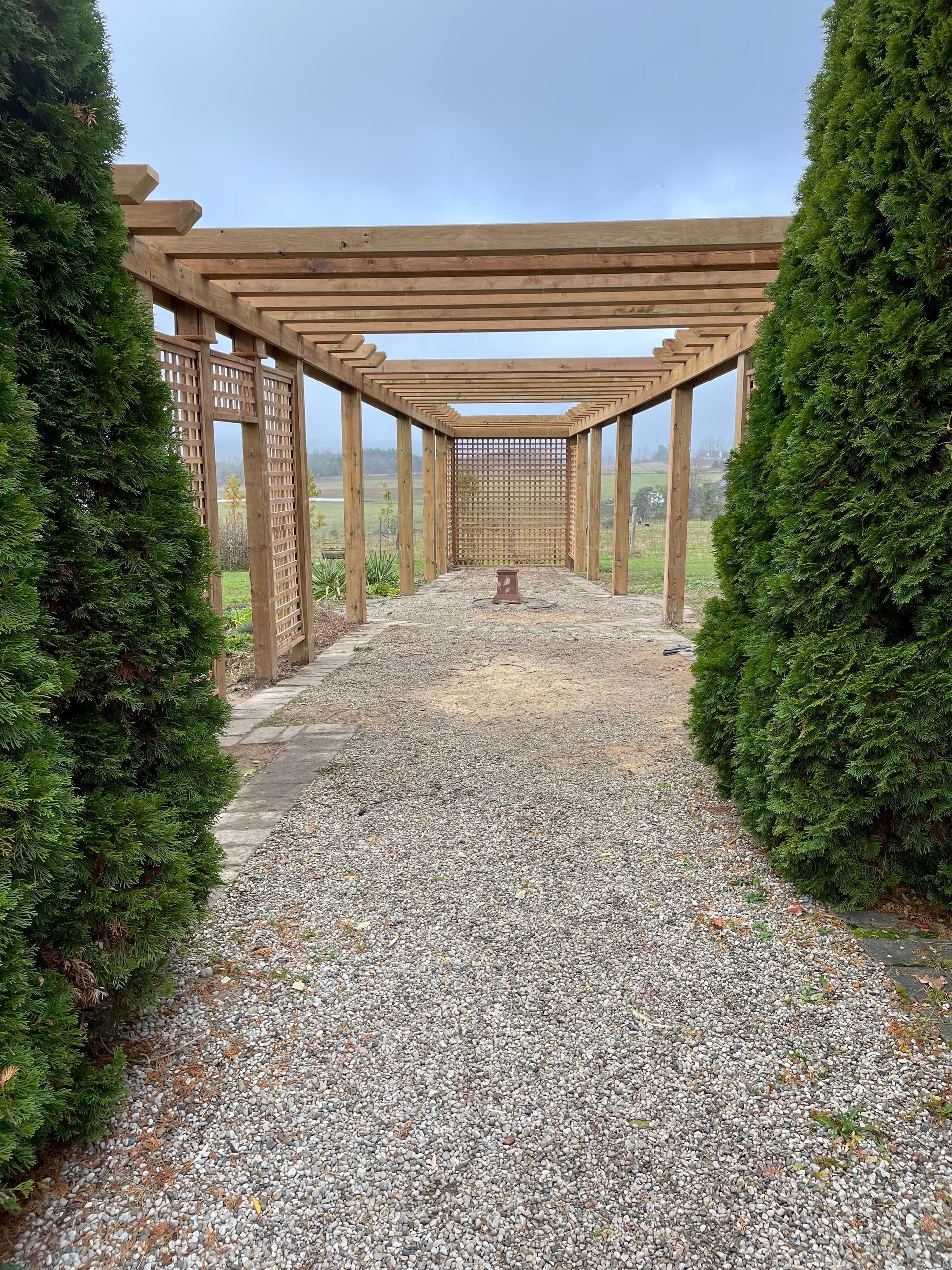 Pathway with pergola. Gravel path framed by evergreen trees leads to wooden structure under a cloudy sky.
