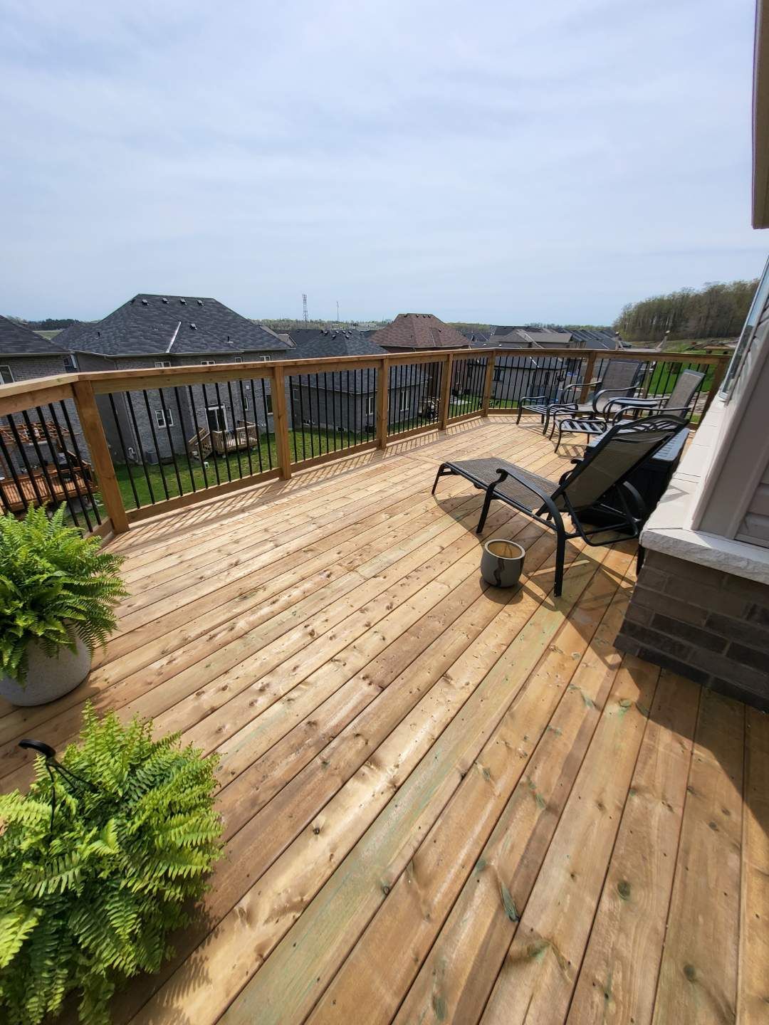 Wooden deck with two ferns, lounge chairs, and a black railing overlooking a green yard and houses.