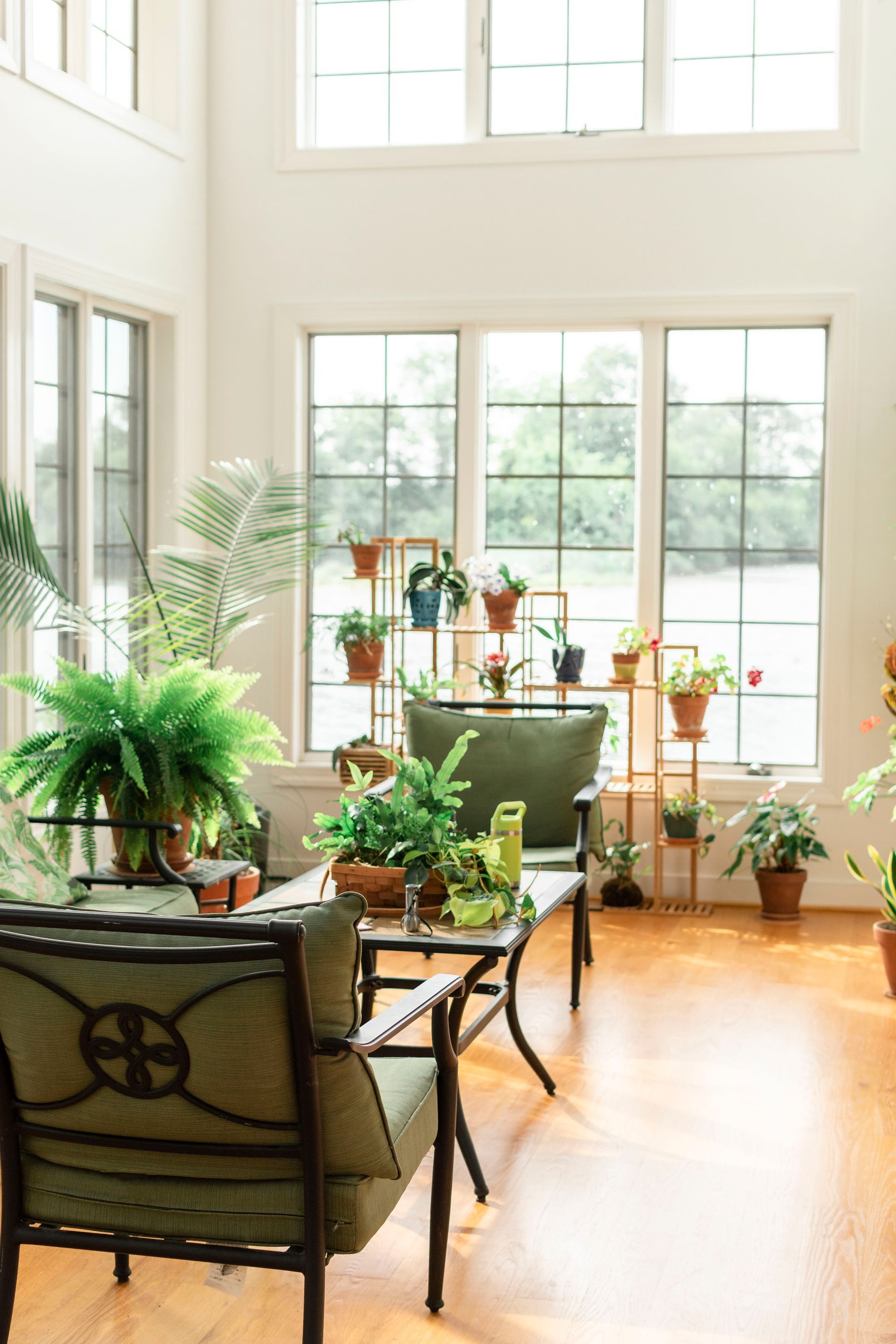 Bright sunroom with potted plants, seating area, and large windows.