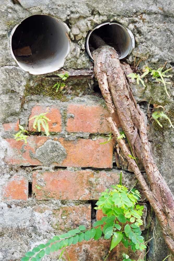 A Brick Wall With Two Pipes Coming Out of It — Treatwater & Plumbing Pty Ltd in North Mackay, QLD