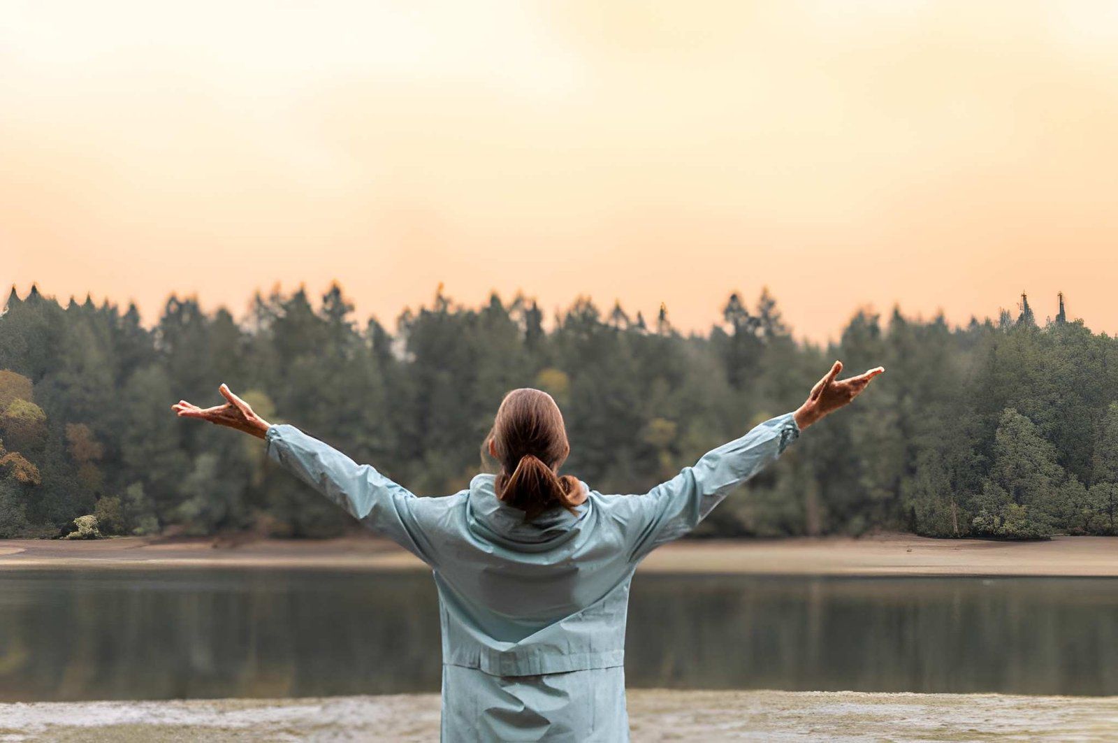 wellness coaching