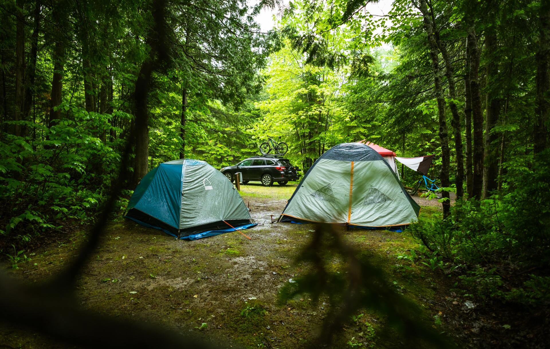 tents on campsite