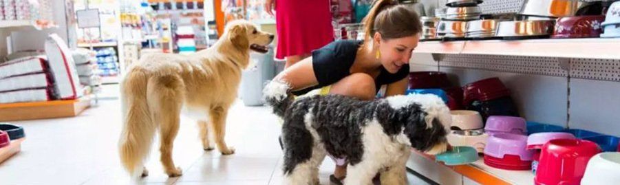 abrir pet shop