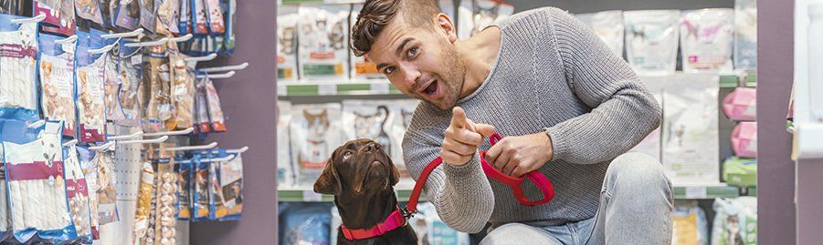 abrir pet shop