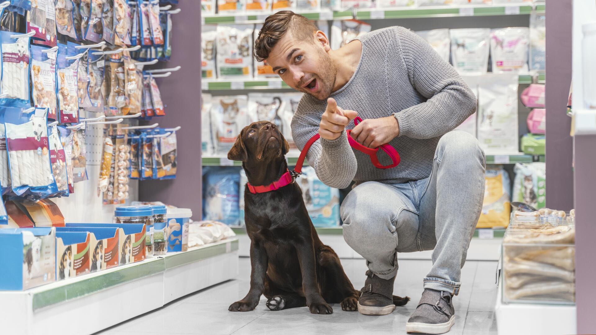 abrir pet shop