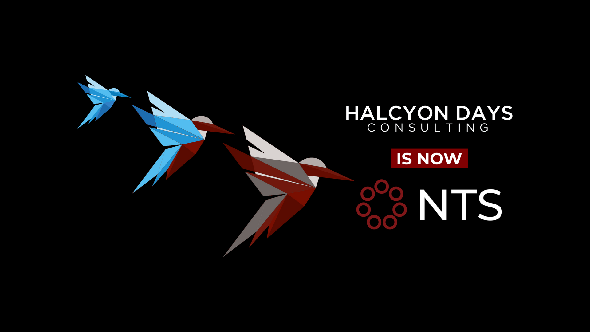 Halcyon Days Consulting logo with blue and red bird shapes on black background, “is now NTS” text