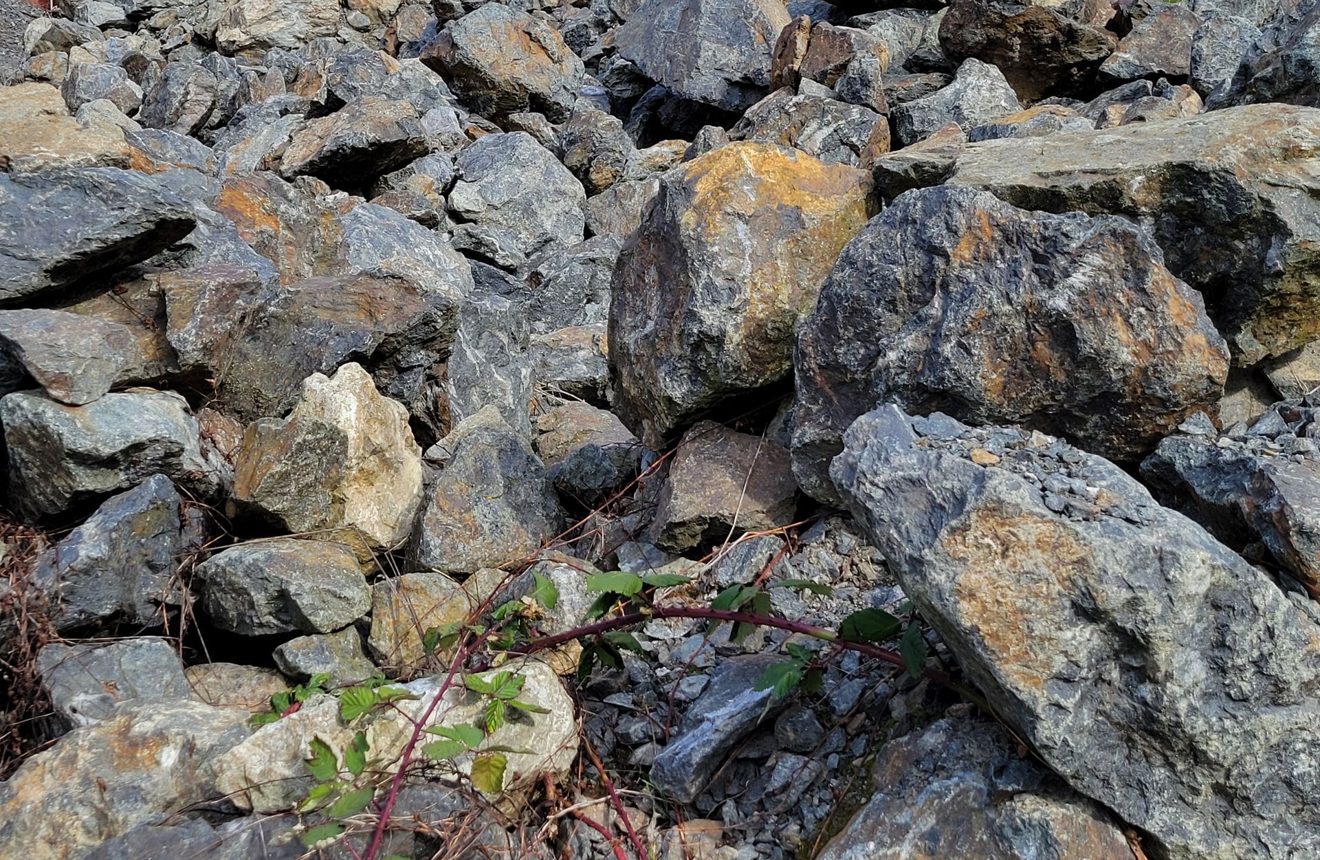 Rock quarry for Bellevue Retaining Wall Pros