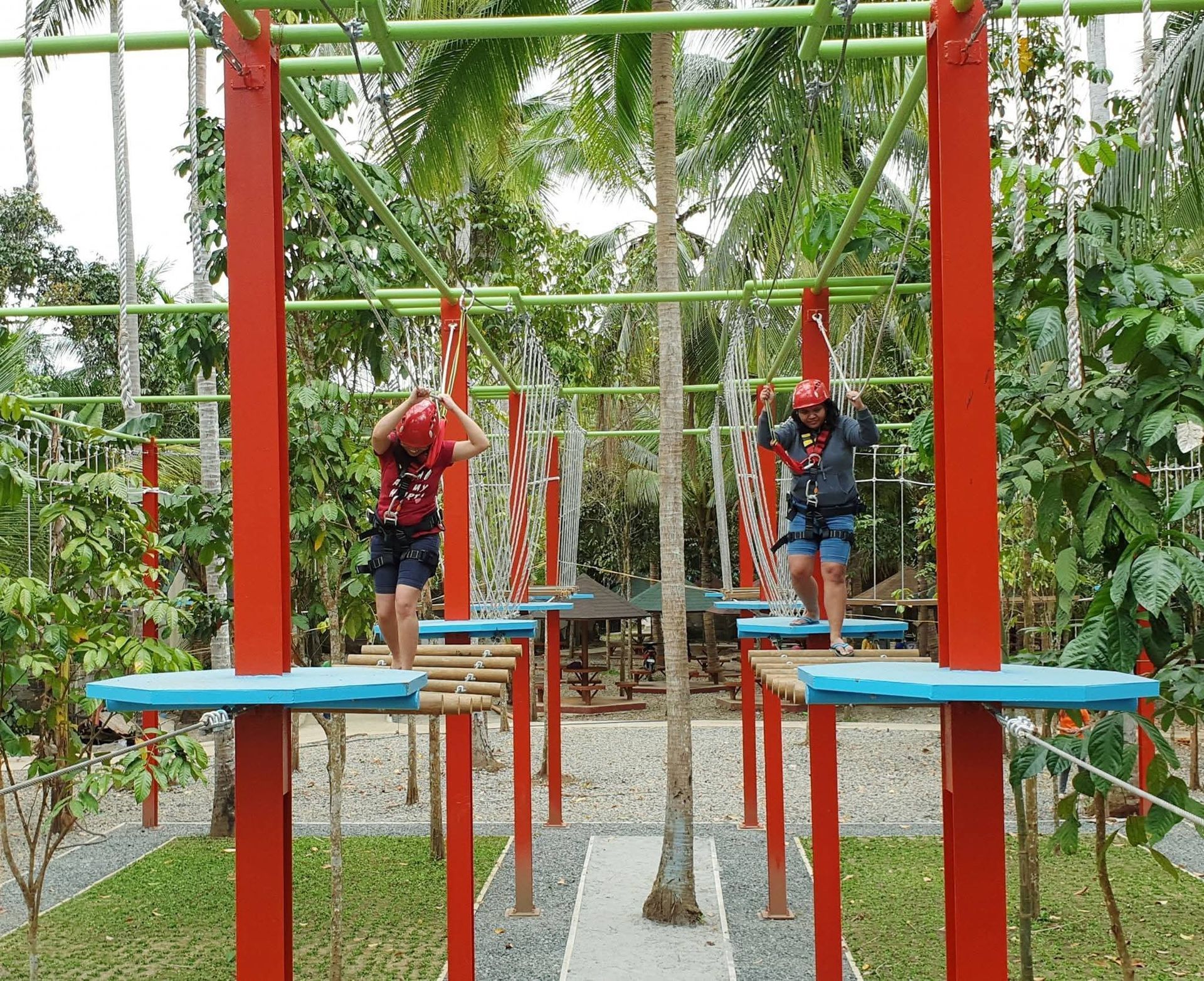 Two people navigating an obstacle course, wearing helmets and harnesses, with a forest backdrop.