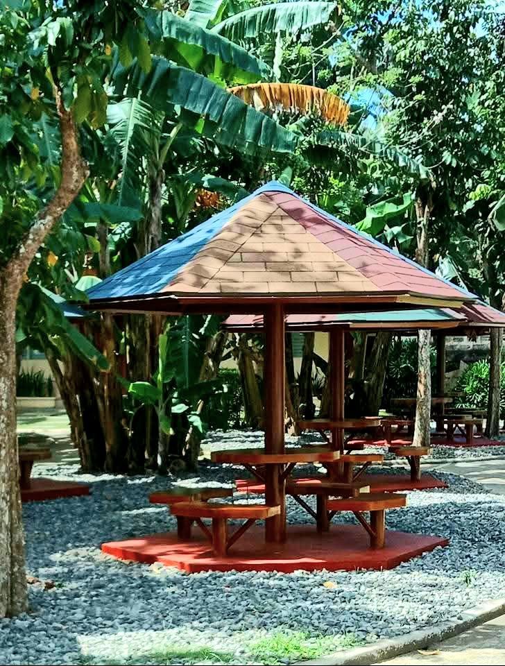 Picnic shelter with a multi-colored roof and benches in a park.