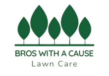 Green tree logo above "Bros With A Cause Lawn Care" text.