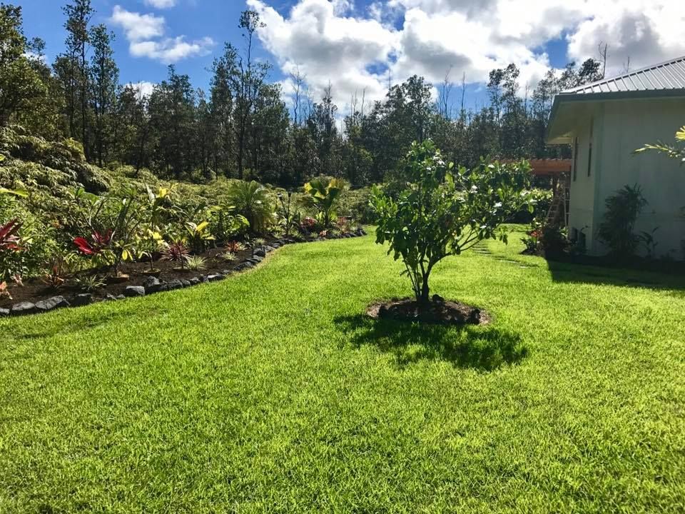 Landscaping