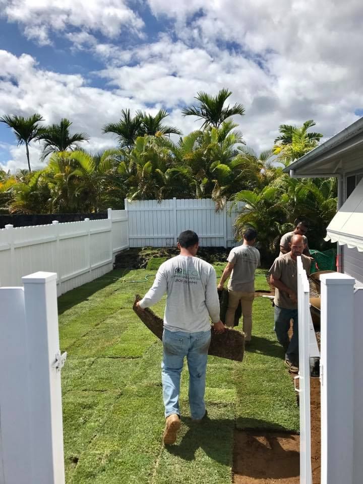 Lawn Installation
