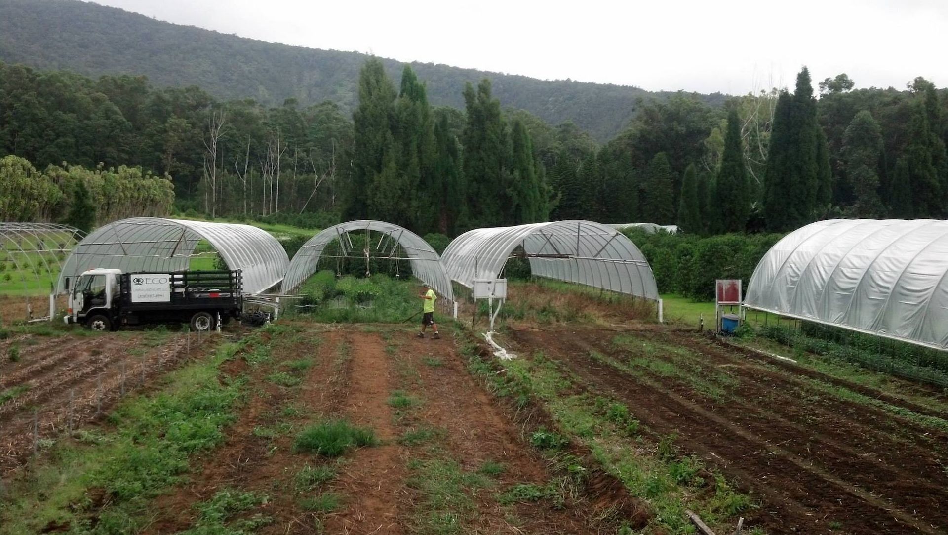 Herbicide Treatment