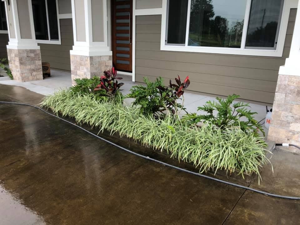 Plant Installation