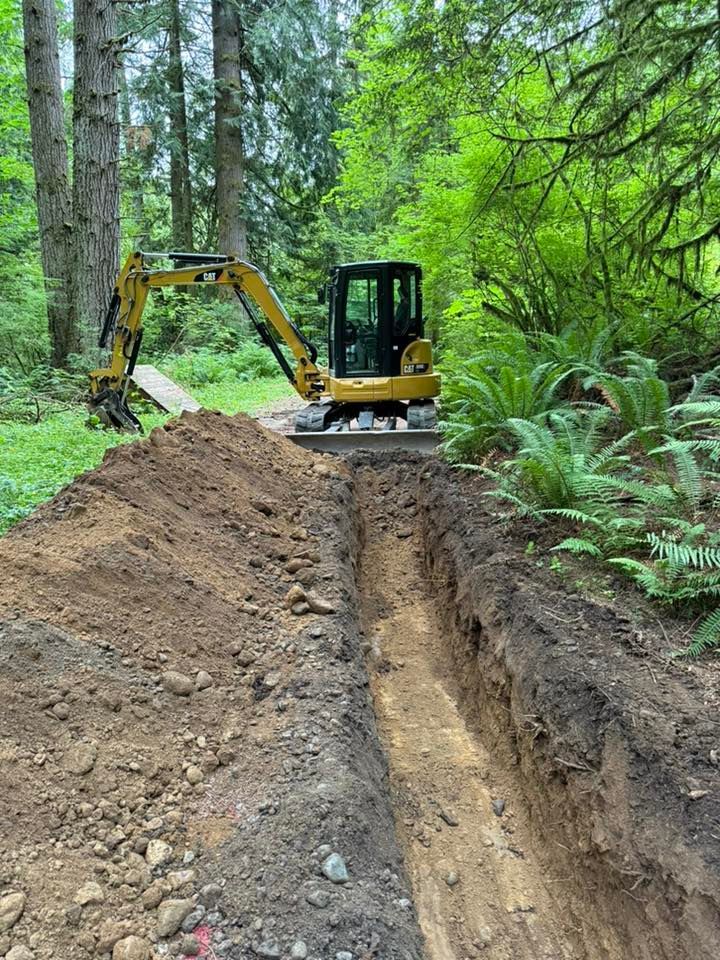 A yellow mini excavator sits at the end of a freshly dug trench in a forested area.