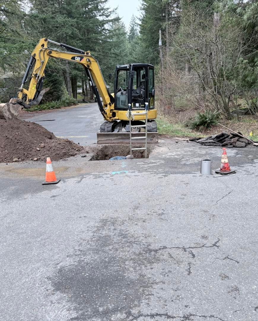 A yellow excavator sits by a hole in a paved area, marked by orange safety cones and a ladder near a forest edge.