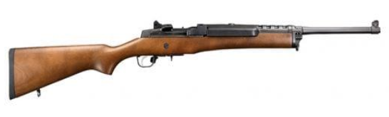 Ruger Mini 14