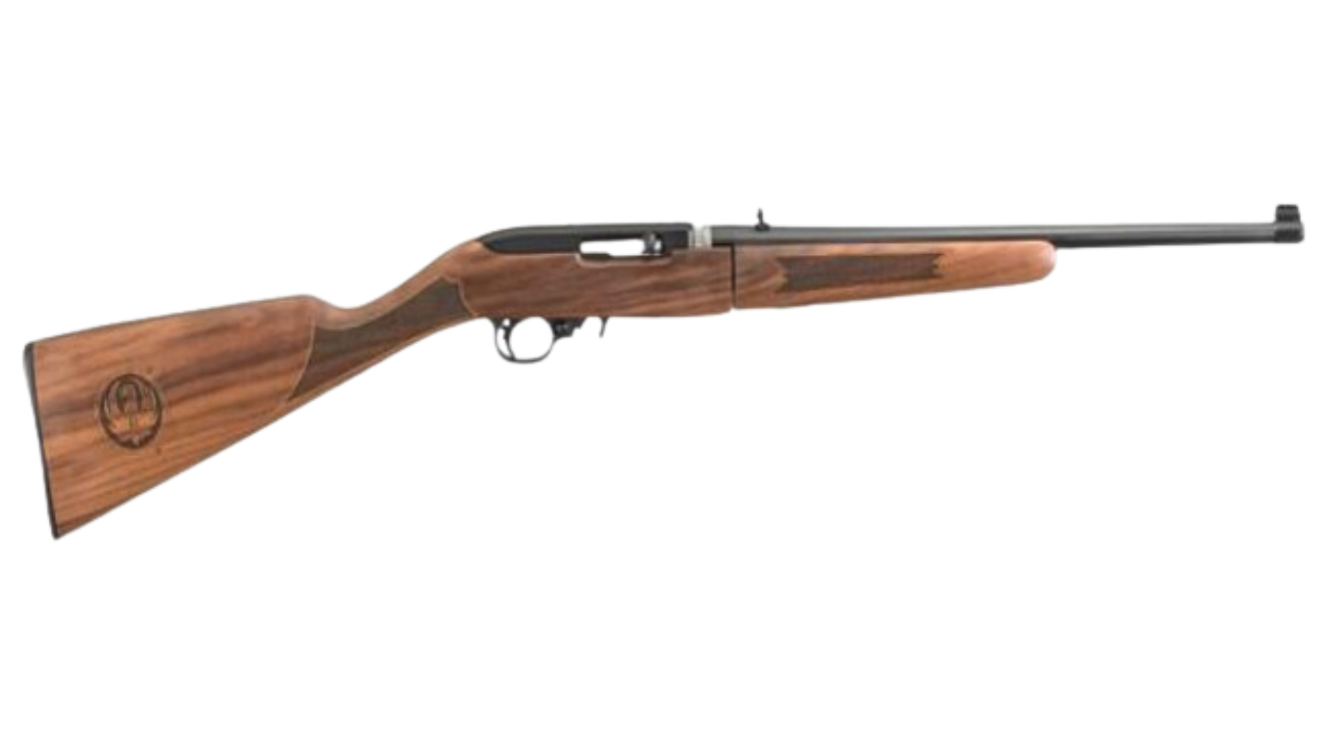 Ruger 10/22 Takedown