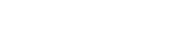 Level Up Roofing and Chimney logo