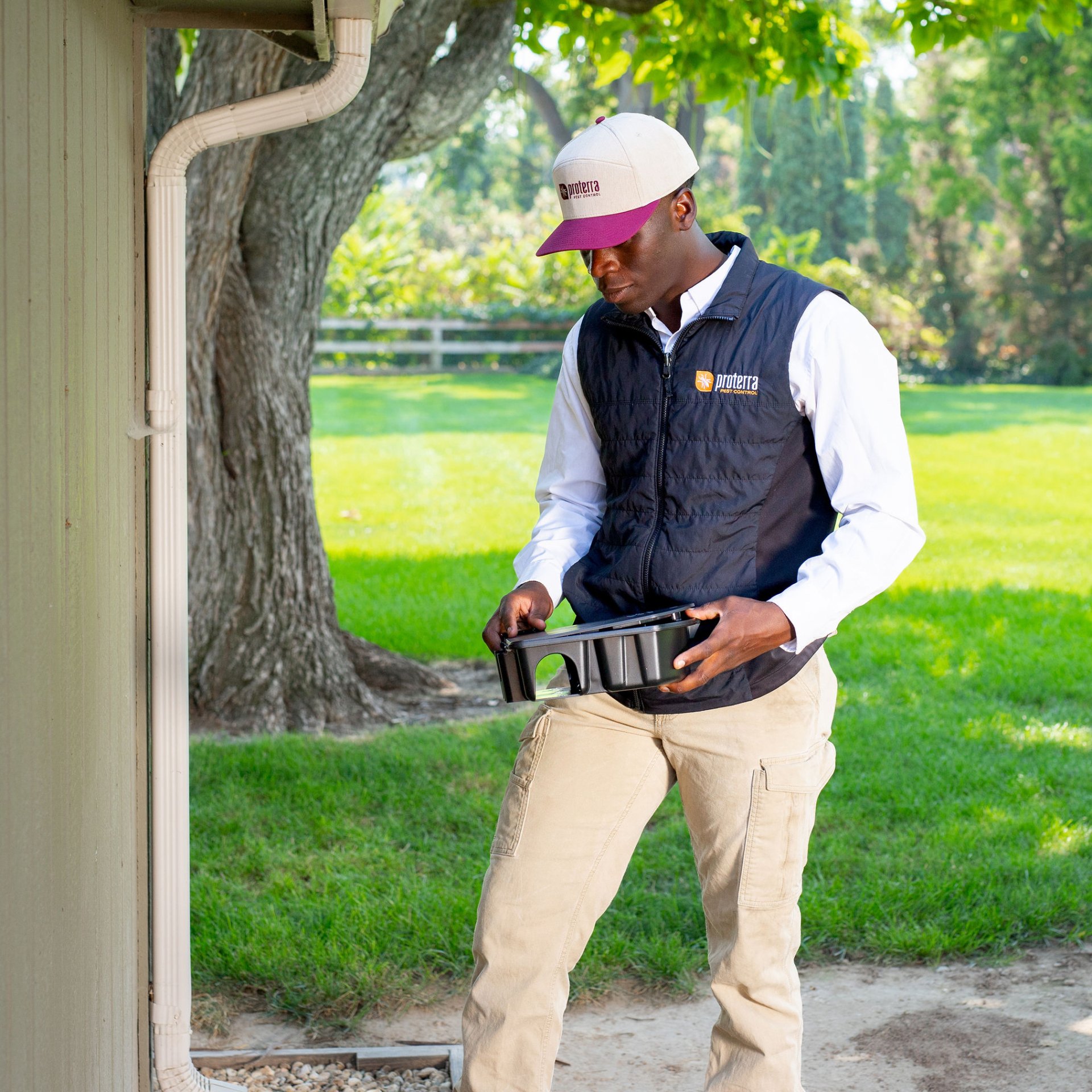 Best Residential Pest Control Proterra Pest Control