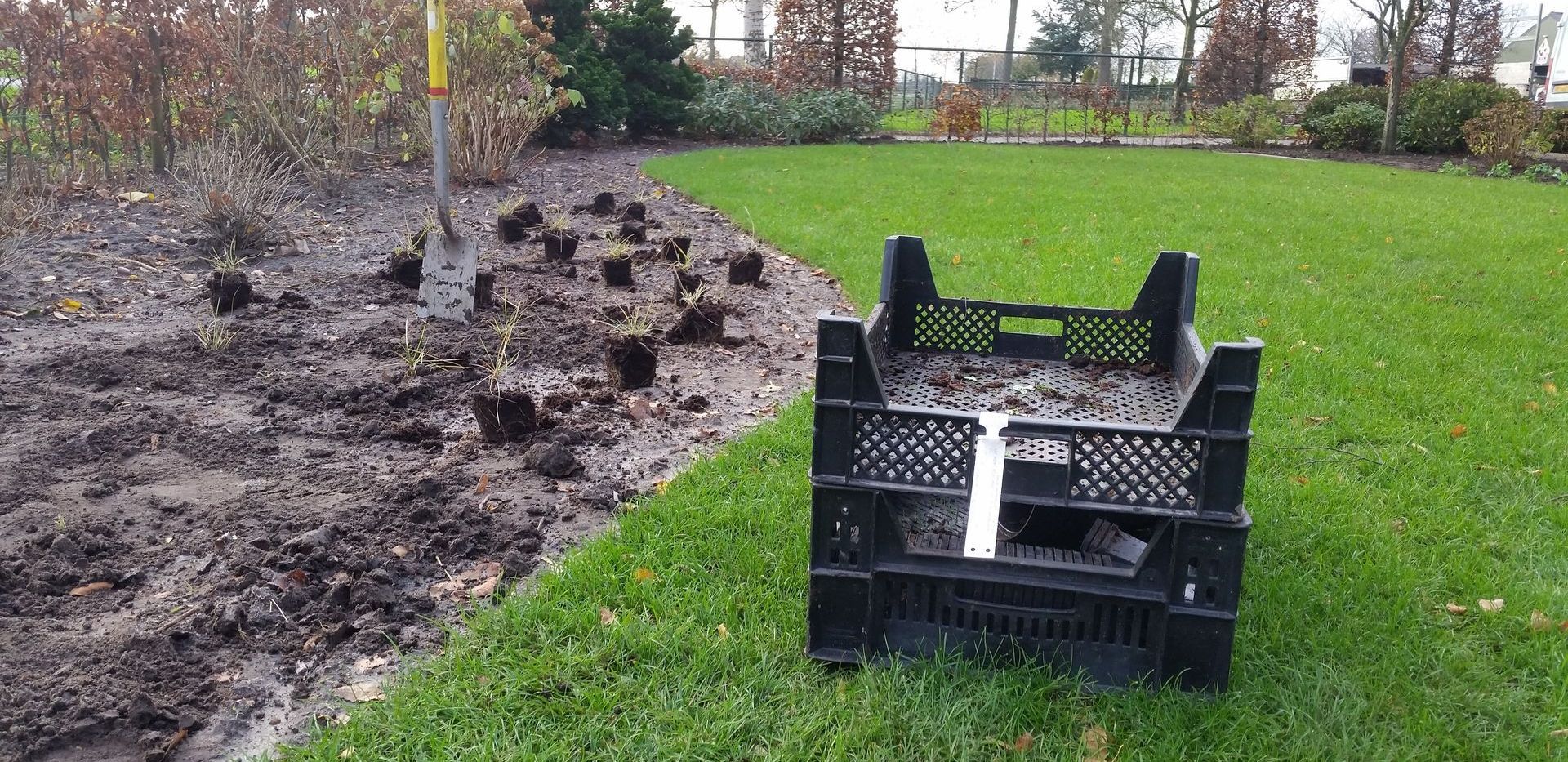 Beplanting 2