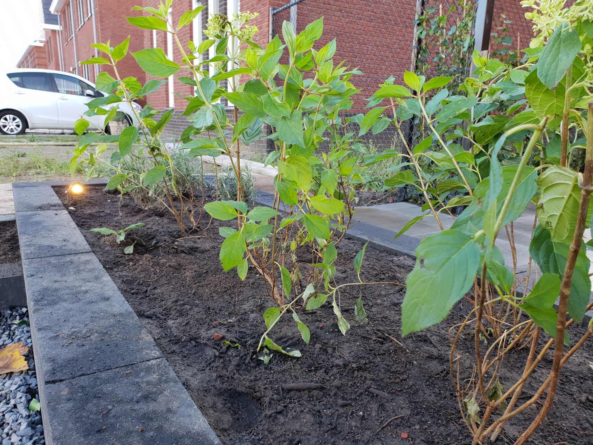Beplanting 5