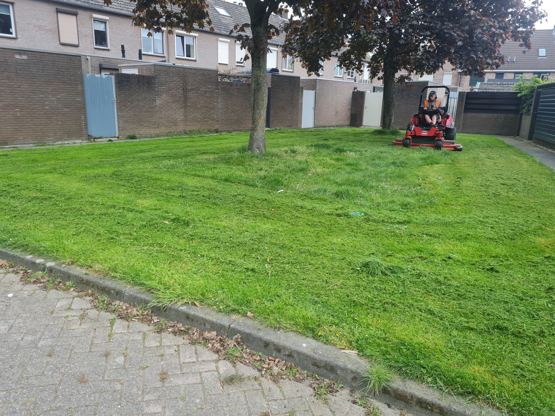 Maaiwerkzaamheden 6