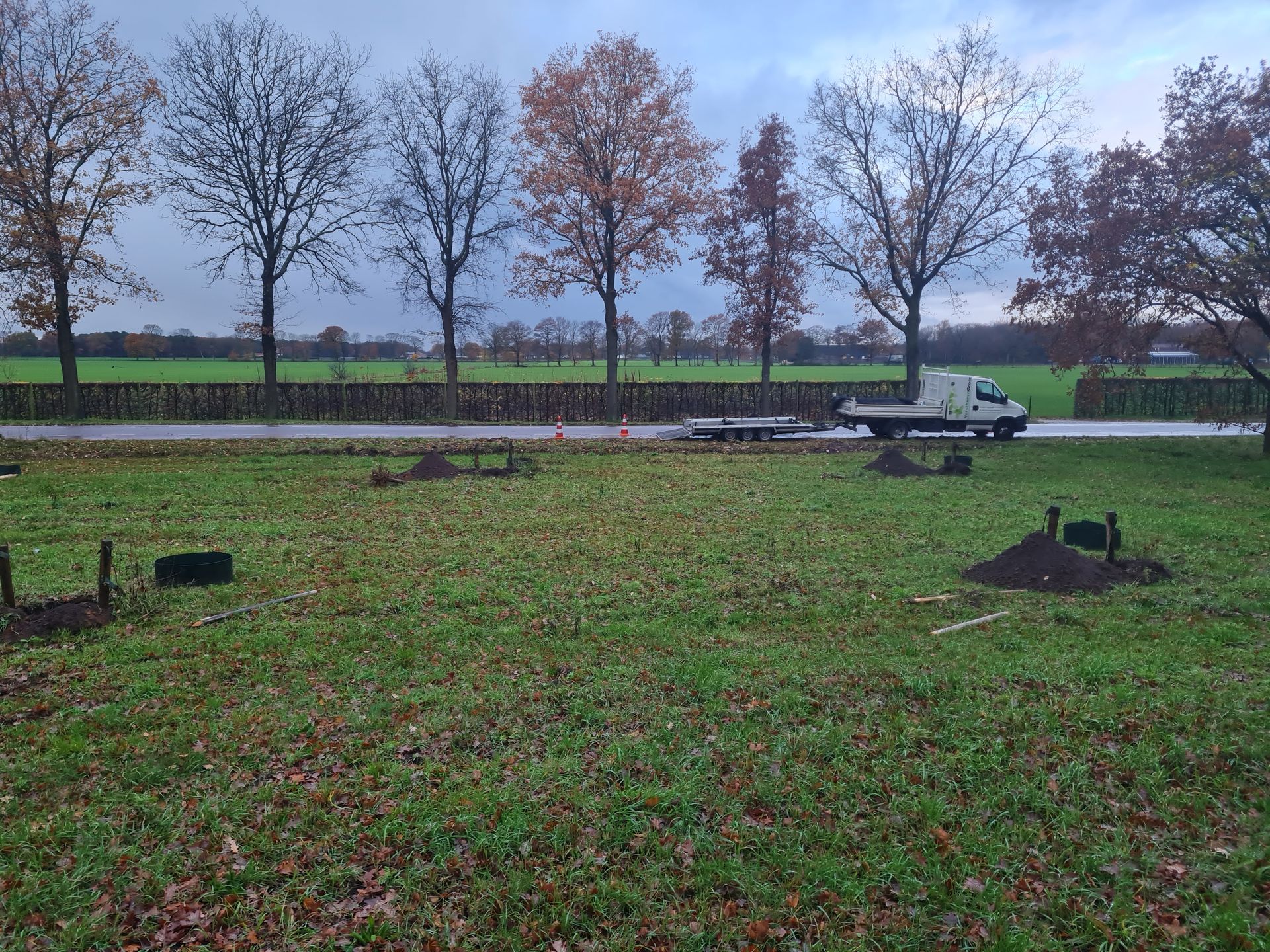 Inboet Bomen