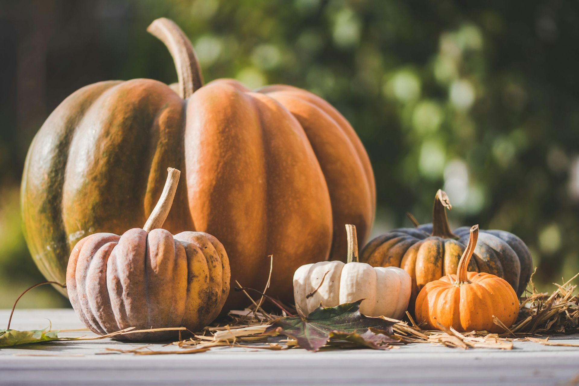Assortment of pumpkins in various colors and sizes on a wooden surface, autumn foliage in background.