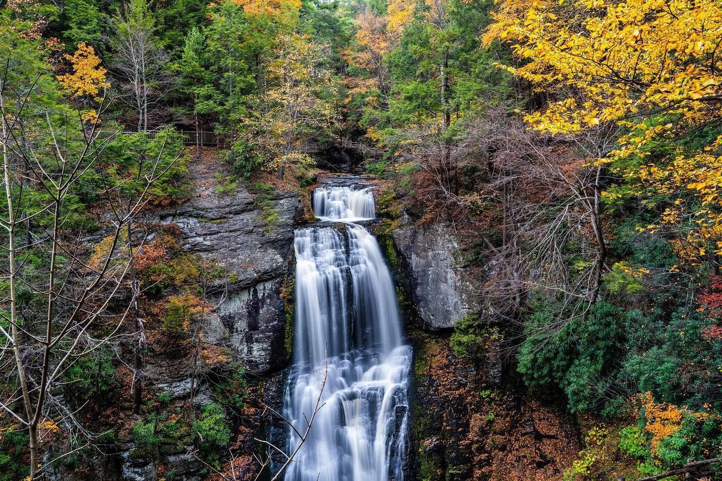 A waterfall in the middle of a forest surrounded by trees. A waterfall in the middle of a forest surrounded by trees.