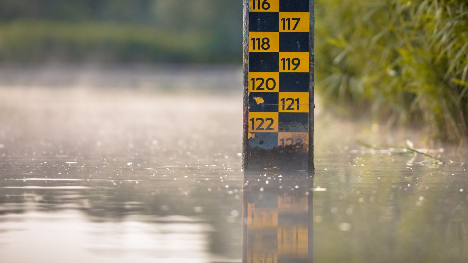 Water level gauge post standing in shallow floodwater, showing yellow and black numbered markers.