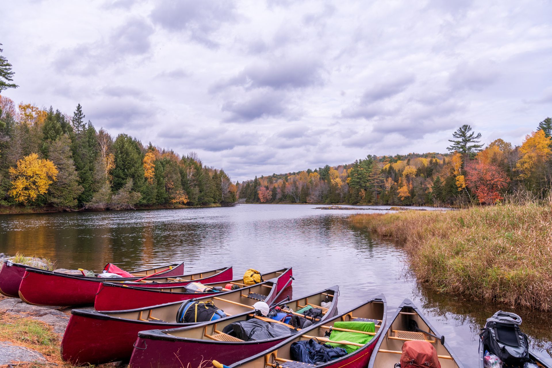 Canoes lined on a calm lake shore with autumn trees under cloudy skies