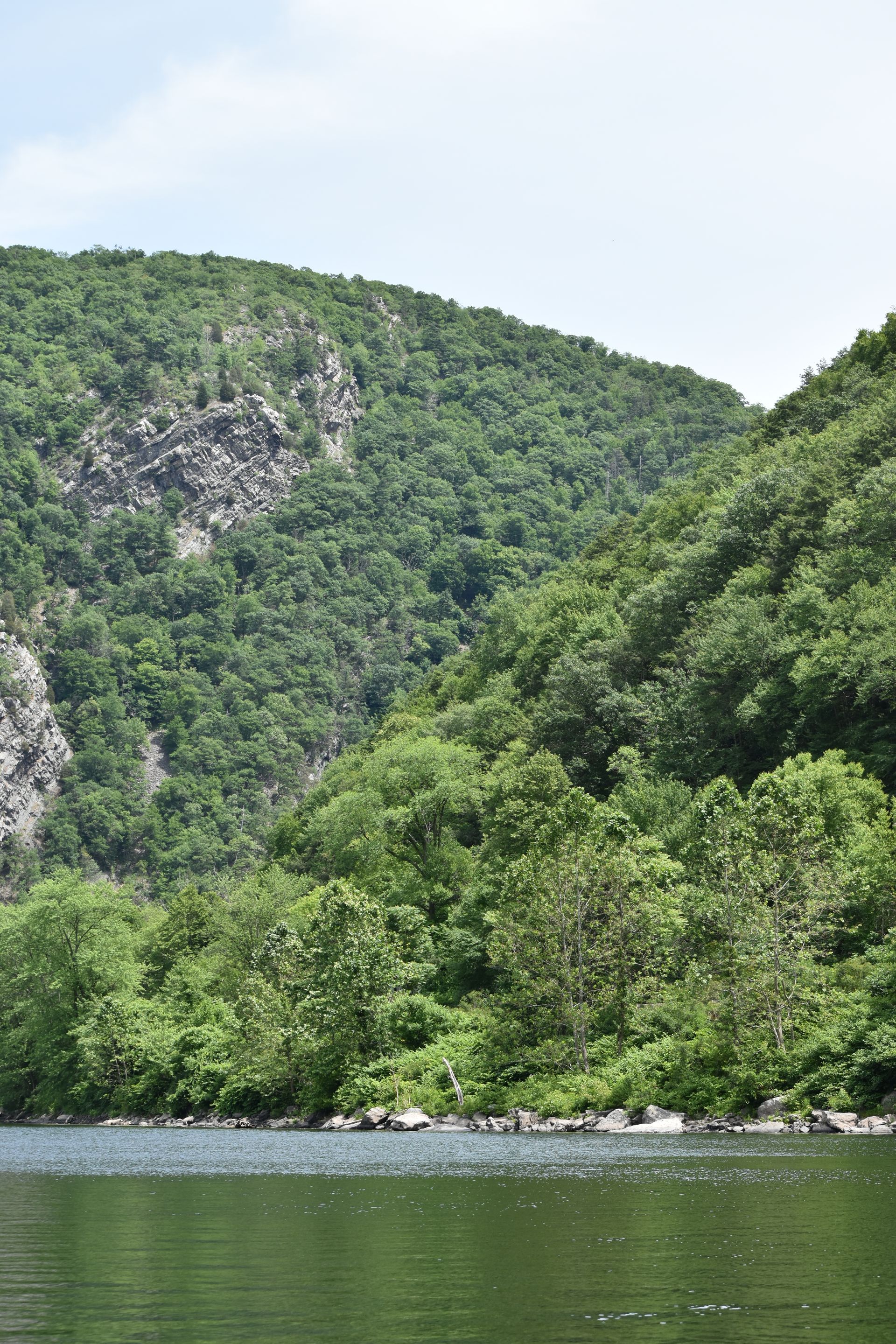 A lake surrounded by trees and mountains with a mountain in the background.
