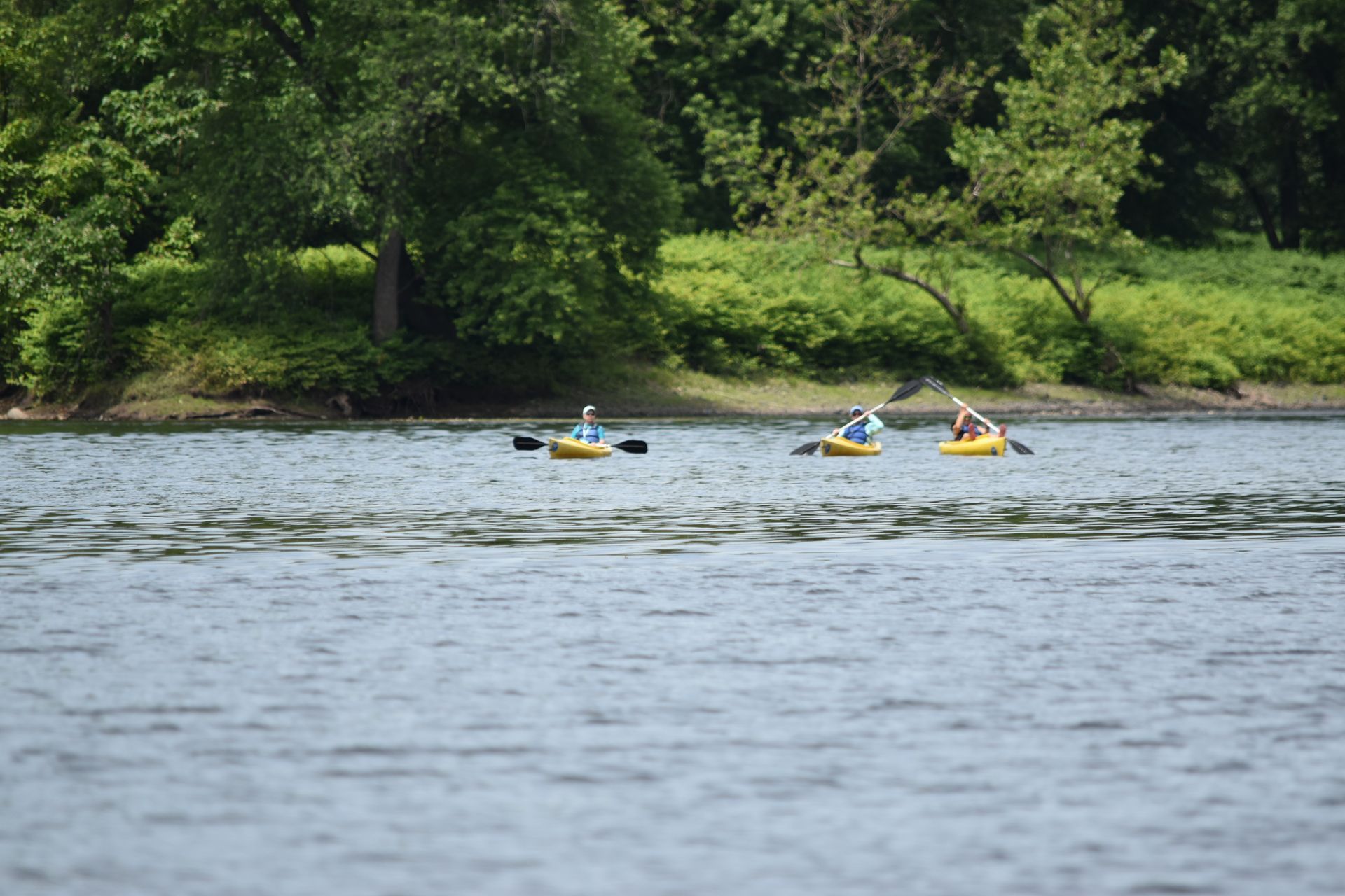 Two people are kayaking on a lake with trees in the background.