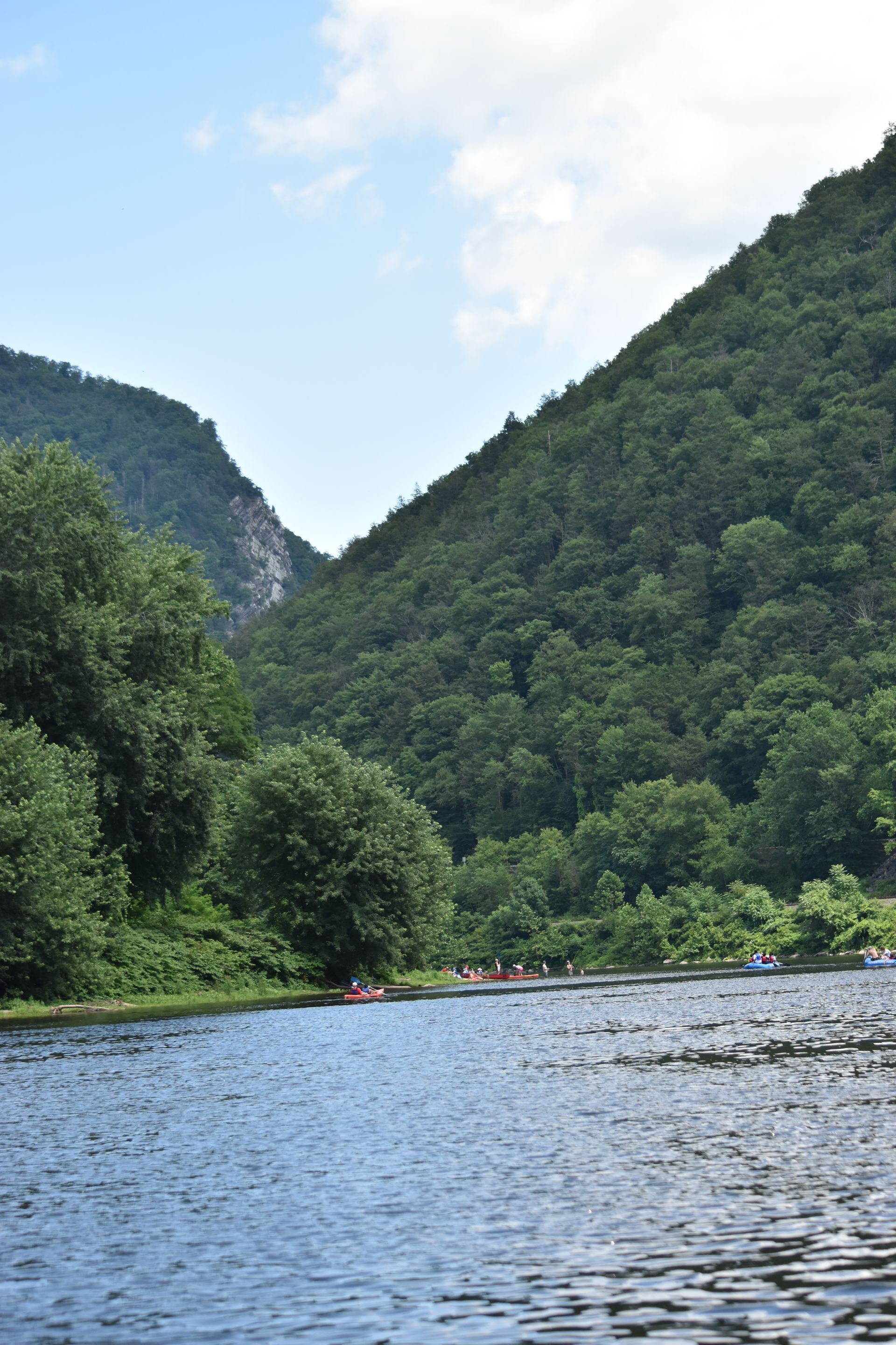The Delaware river surrounded by mountains and trees on a sunny day.