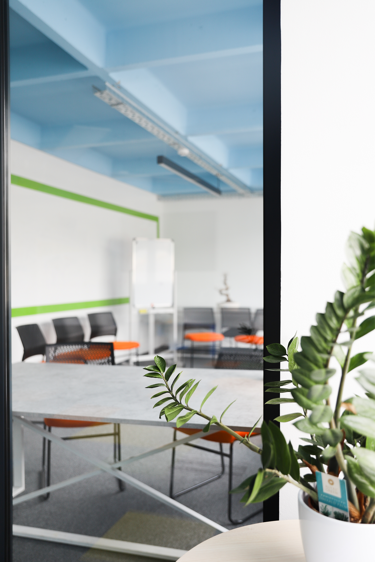 Office space interior with large table and chairs, seen through a frame with a plant.