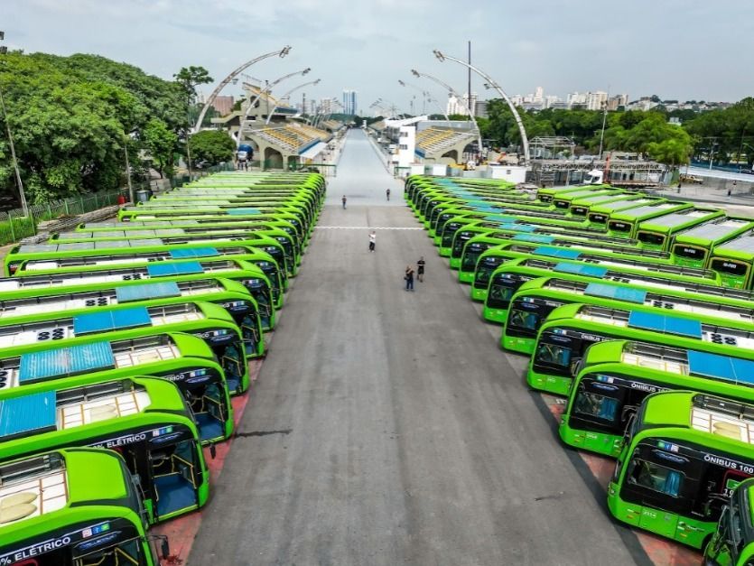 Um grupo de ônibus verdes estão estacionados na beira da estrada.