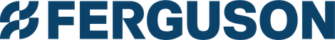 Ferguson logo with blue abstract icon and black wordmark