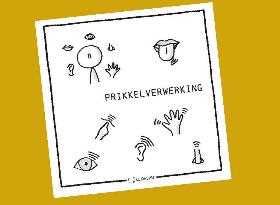 Voorbeelden van het boek Meer Betekenen, het begrip prikkelverwerking is getekend