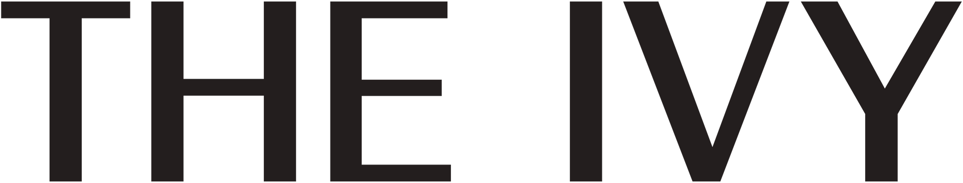 Company Logo - Footer