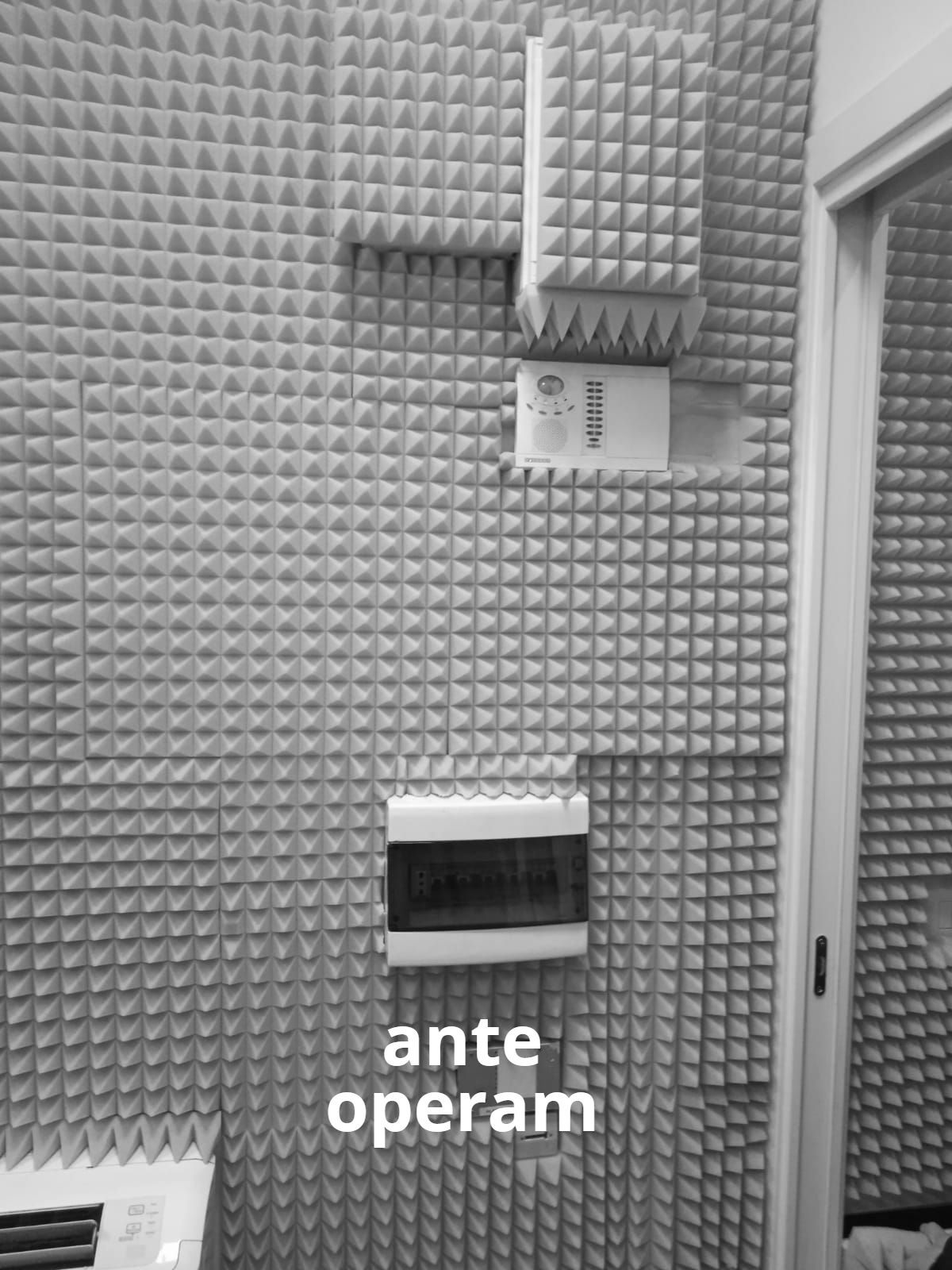 ante operam
