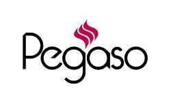reference client pegaso