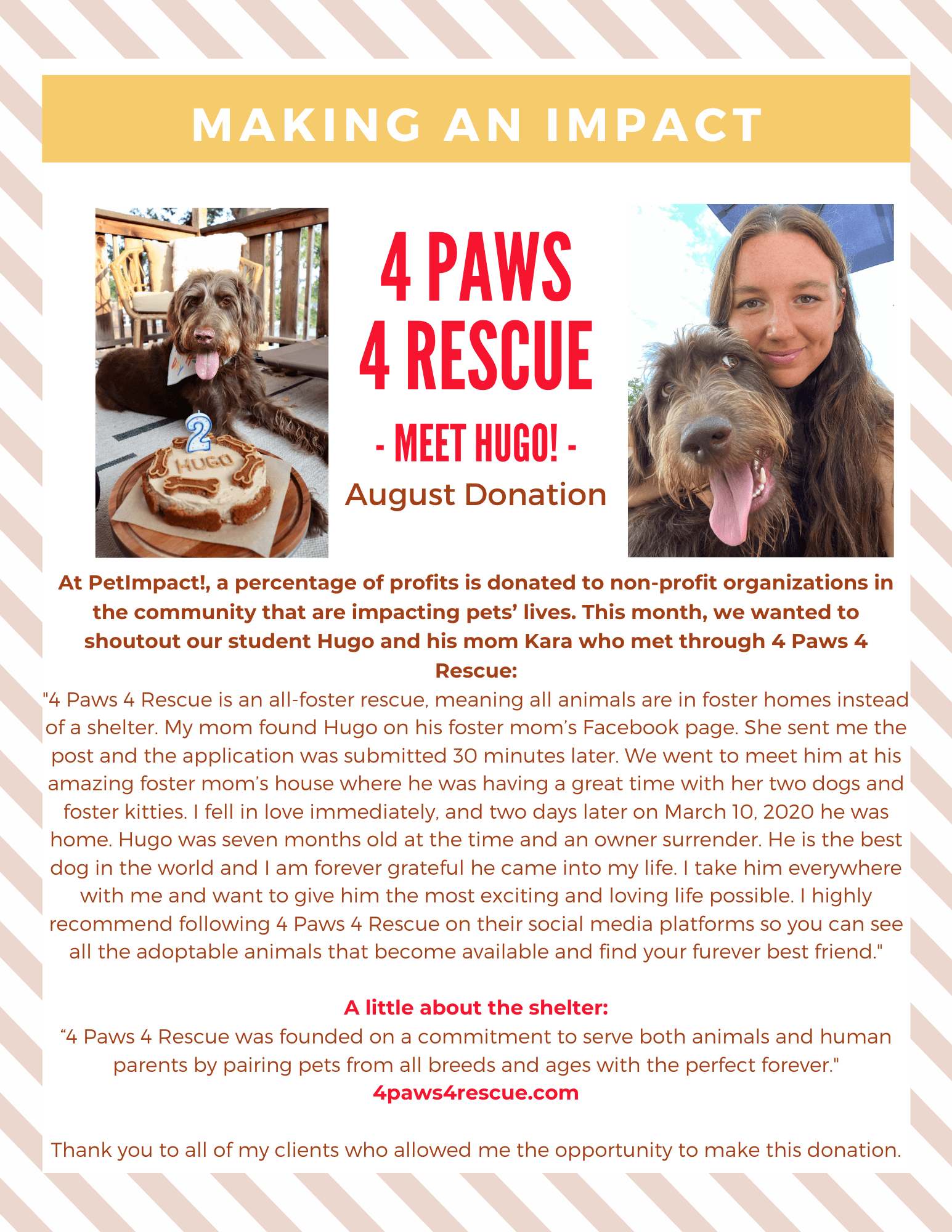A flyer promoting 